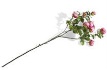 Coco Maison COCO MAISON accessoire Rose London Branch H110cm